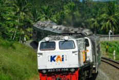 Fakta Kecelakaan Kereta! Baru Seminggu KAI Keluarkan KA Argo Semeru Kelas Mewah Langsung Disengol Argo Wilis hingga Terbalik, Penumpang Trauma?