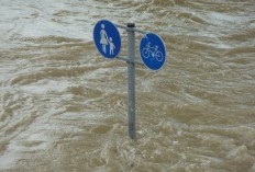 Bagaimana Ciri Melihat Mobil Bekas yang Pernah Terendam Banjir? 5 Ciri ini Harus Dilihat Agar Mobil Tidak Gampang Rusak, Awas No 3 Bikin Tekor Kantong