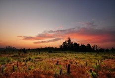 Pemekaran Wilayah dan Bentuk Kabupaten Baru di Daerah Sumatera Utara Resmi Disetujui, Ternyata Pikul Tanggung Jawab Luas 6 Juta Kilometer Persegi?