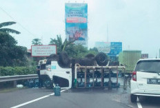 Awas ! Pecah Ban Jadi Salah Satu Pemicu Risiko Kecelakaan di Jalan Tol