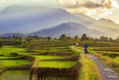 Sulawesi Utara Punya Provinsi Misterius dengan Nama yang Mengejutkan, Bahkan Sudah Diresmikan Kemendagri pada 16 Februari! Clue Lokasinya Berjarak 407 Km dari Manado