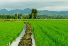 Sibolga, Kota Mungil yang Kini Jadi Bagian Baru Sumatera Utara dengan Luas Enam Kali Lipat lebih Besar Daripada Ibukota?