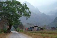 Jawa Tengah Akan Keluarga Brebes dari Provinsinya Usai Terdapat 5 Kecamatan Teramai, Benarkah Juaranya Lokasinya Berada du Bagian Gunung Slamet?