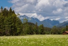 Warga Kalteng Sudah Tau? Inilah Kecamatan Paling Jauh dari Ibukota Murung Raya dengan Jarak 220 Km, View Indah dan Eksotis jadi Tawaran Pertama?