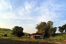 Potret Baru Kalimantan Barat yang Menggoda dengan Pemekaran dan Pesona Kabupaten Kubu Raya yang Dinobatkan Sebagai Kabupaten Termuda se-Indonesia