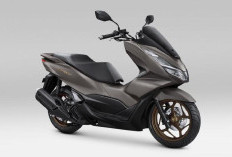 Makin Menarik! New Honda PCX 160 Hadir dengan Warna Baru: Silver dan Coklat, Harga Tetep