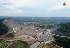 Taman Purbakala di Lampung! Banjir Kekayaan Balik Bukit Harta Karun yang Ditemukan oleh Transmigran Ini