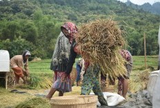 Hampir Gagal Fokus, Intip Keunikan Lima Desa Menarik di Kabupaten Pacitan Jawa Timur, Nomor 2 Diberi Nama Mirip Doa Penyembuhan?