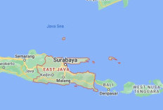 Waduh! Bukan Banyuwangi Apalagi Mojokerto, Ini Calon Daerah Pemekaran Provinsi Jawa Timur yang Baru, Luas Wilayahnya 3,293 Km