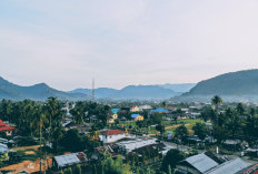 Bojonegoro dan Malang Mesti Waspada! Tantangan dan Peluang 4 Kota di Jawa Timur yang Berpotensi Tinggalkan Jawa Timur dan Masuk Provinsi Baru