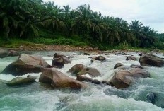 Gelar Potensi Alam? Petualangan Ajaib di Goa Mampu di Sulawesi Selatan, Keunikan Stalagtit dan Stalagmit Yakin Disuguhkan Pemandangan Luar Biasa