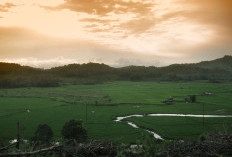 Tana Tidung Kepanjangan dari Apa? Yuk Mengungkap Nama-Nama Unik di Kalimantan Utara: Afdeeling Tidoengschelandern Dalam Banget Maknanya