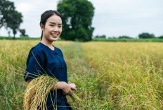 Nama Desa Terunik di Kabupaten Pati, Ada Desa yang Katanya Banyak Kembang Desa Cantik Sampai Mau Mandi , Apa itu?