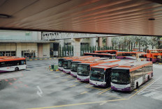 Terminal Bus Terbesar di Padang Ini Luasnya Capai 2,5 Ha! Bisa Tebak Mana? Mampu Menampung Lebih dari 100 Bis Sekaligus