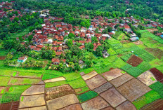 MENGKAGET! 3 Daerah Terkaya di Bangka Belitung Bukan Hanya Pangkal Pinang, Pendapatan Per Tahun Bikin Ngiler, Langsung Cek Apa Ada Daerahmu!