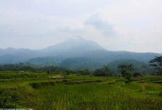 Jayawijaya Terpecah! Kabupaten Baru di Papua: Ancaman Kelaparan Mengintai Hingga Mendagri Resmikan Daerah Ini Agar Dapat Teratasi Secara Maksimal?