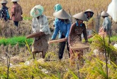 5 Daerah Tertua dengan Usia Lebih dari 12 Abad di Jawa Timur, Apakah Malang Masuk dalam Urutan Teratas?