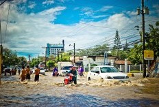 5 Tips Menghadapi Mobil Bekas yang Pernah Terendam Banjir,  Suara Mesin jadi Faktor Utamanya!