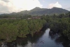 Dikelilingi Hutan dan Rumah Terbengkalai! Bak Desa Mati di Kabupaten Batang, Hanya Dihuni 6 Keluarga Saja, Apakah Kamu Berani Tinggal Sendirian di Sini?
