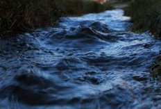 Melihat Keindahan Sungai-Sungai Terpanjang Pekalongan yang Menyelamatkan Pertanian, Benarkah Sungai Sangkarang jadi Juaranya?