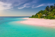 Saingan Baru Pulau Komodo Nih, NTT Punya Pulau Terpencil yang Sangat Sepi dan Hanya Seluas 5 Ha, Ada Harta Karun Pohon Bakau dan Hewan Vampir