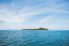 Keajaiban Pulau Sempu, Jawa Timur yang ada di Malang Cantik Namun Terpenjara dalam Sangkar dengan Luas  8,77 Km2
