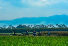 Daftar 6 Desa Unik yang Bikin Penasaran di Kabupaten Sukabumi Jawa Barat, Ternyata Ada Nama Kepedean, Tebak Lokasinya di Mana?