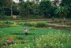 Menjelajahi Keindahan Kampung Cijati di Kaki Gunung Geulis, Sumedang yang Terkenal dengan Tahu-nya yang Nikmat dan Lezat