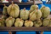 Wangi Semerbak yang Mempesona, Simak 4 Daerah Penghgasil Durian Terbanyak di Kabupaten Magelang, Juaranya Bukan Bojong